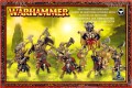 Beastmen Bestigor Herd