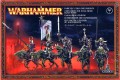 Dark Elf Cold One Knights
