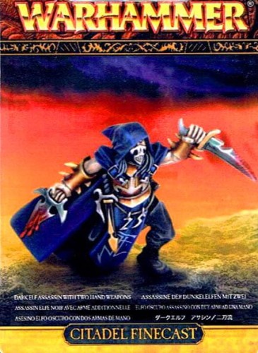 Dark Elf Assassin with Two Hand Weapons
