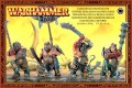 Ogre Kingdoms Ironguts