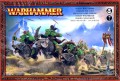 Goblin Wolf Riders
