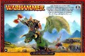 Orc Warboss on Wyvern