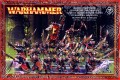 Skaven Stormvermin