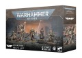Warhammer 40000 Astra Militarum Hell's Last.jpg