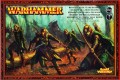Wood Elf Glade Guard Regiment