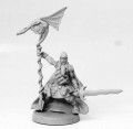 Sidhe - Elfy - Różne modele