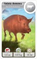 Cardline: Zwierzęta