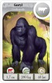 Cardline: Zwierzęta