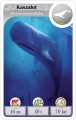 Cardline: Zwierzęta