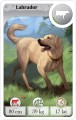 Cardline: Zwierzęta