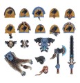 Upgrades Pack - Space Wolves