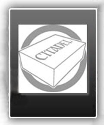 Mail Order: Space Wolves