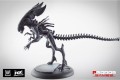 AvP Boardgame: Alien Queen