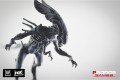 AvP Boardgame: Alien Queen