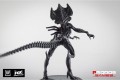 AvP Boardgame: Alien Queen