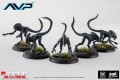 AvP Boardgame: Alien Stalkers
