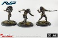 AvP Boardgame: Predators