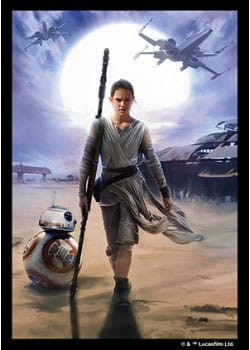 Star Wars the Force Awakens - Art Sleeve - Rey