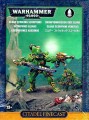 Eldar Striking Scorpions