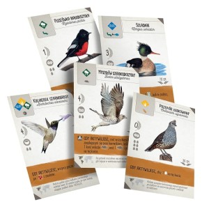 Na skrzydłach: Szybki start